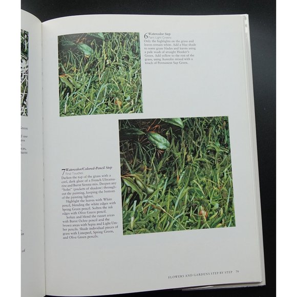 Artists Book, Paint Radiant Realism in Watercolor, Ink & Colored Pencil, by Suee - Picture 6 of 7